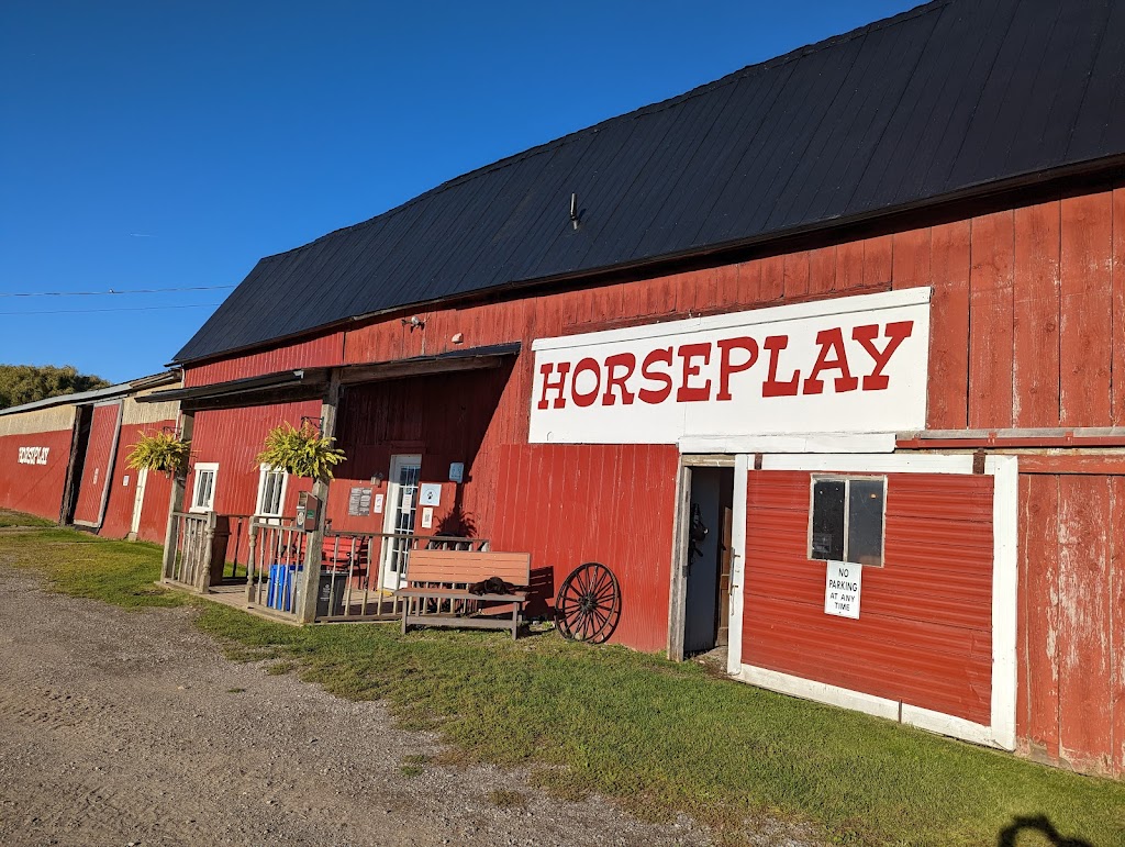 HorsePlay Niagara | 11061 Ellsworth Rd N, Port Colborne, ON L3K 5V4, Canada | Phone: (905) 834-2380