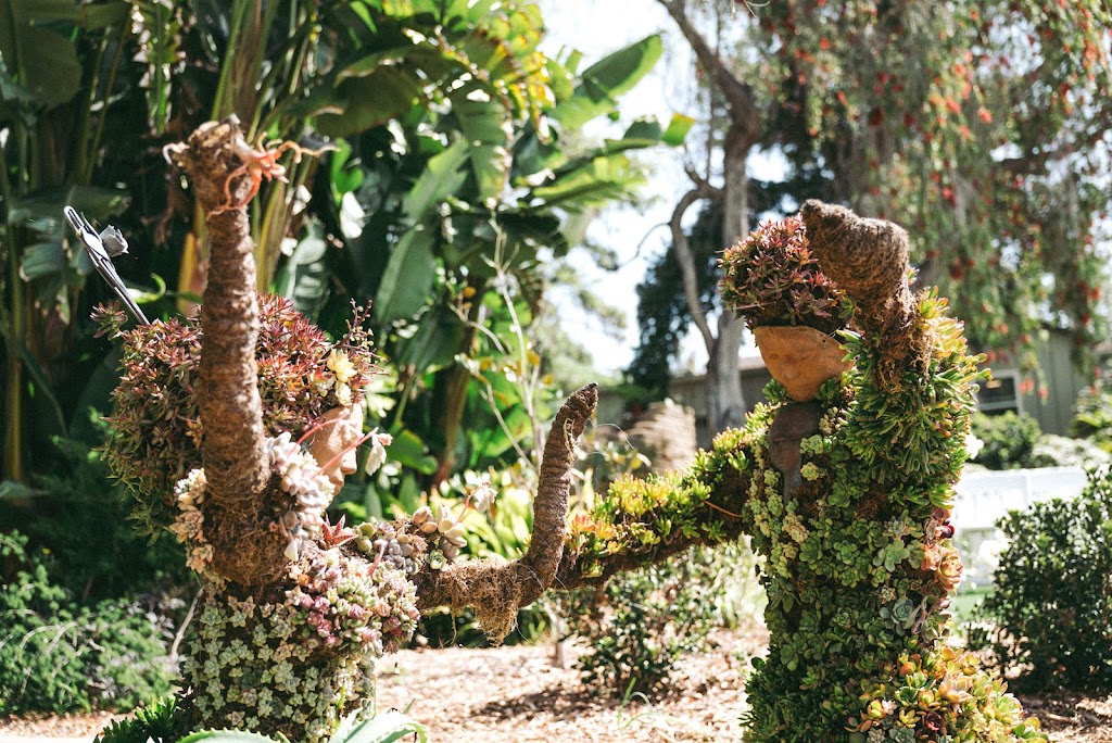 San Diego Botanic Garden | Quail Gardens Drive and, Ecke Ranch Rd, Encinitas, CA 92024, USA | Phone: (760) 436-3036