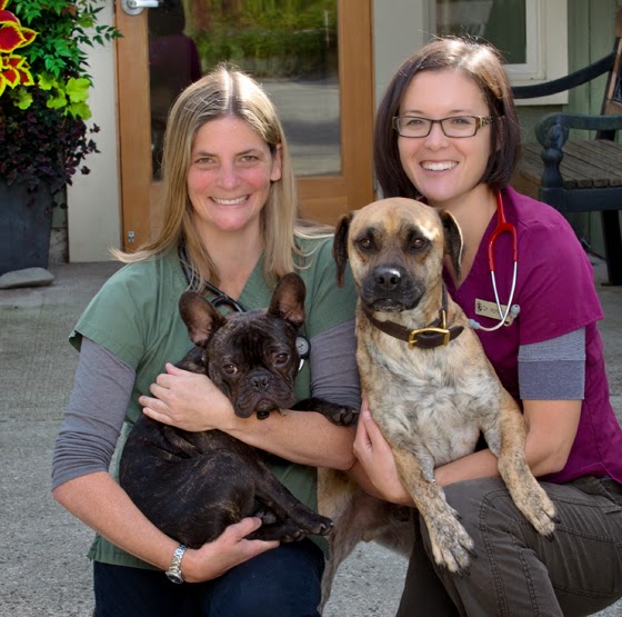 Companion Animal Wellness Center | 16404 Lemolo Shore Dr NE, Poulsbo, WA 98370, USA | Phone: (360) 779-6534 Companion Animal Wellness Center | 16404 Lemolo Shore Dr NE, Poulsbo, WA 98370, USA | Phone: (360) 779-6534