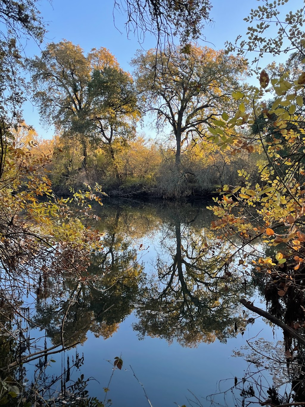 Cosumnes River Preserve | 13501 Franklin Blvd, Galt, CA 95632, USA | Phone: (916) 684-2816