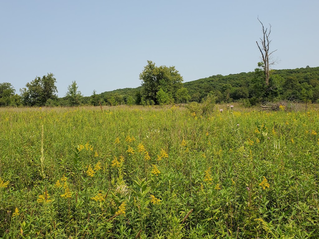 Wild River State Park | b n, 39797 Park Trail, Center City, MN 55012, USA | Phone: (651) 583-2925