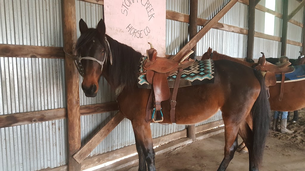 Storm Creek Horse Co. Farm & Rescue | 10518 W Boundary Rd, Pretty Prairie, KS 67570, USA | Phone: (316) 303-2497