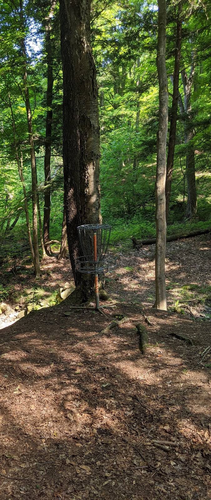 Chainbiters Disc Golf Course | 8744 S Dayton Silver Creek Rd, South Dayton, NY 14138, USA | Phone: (716) 720-0378