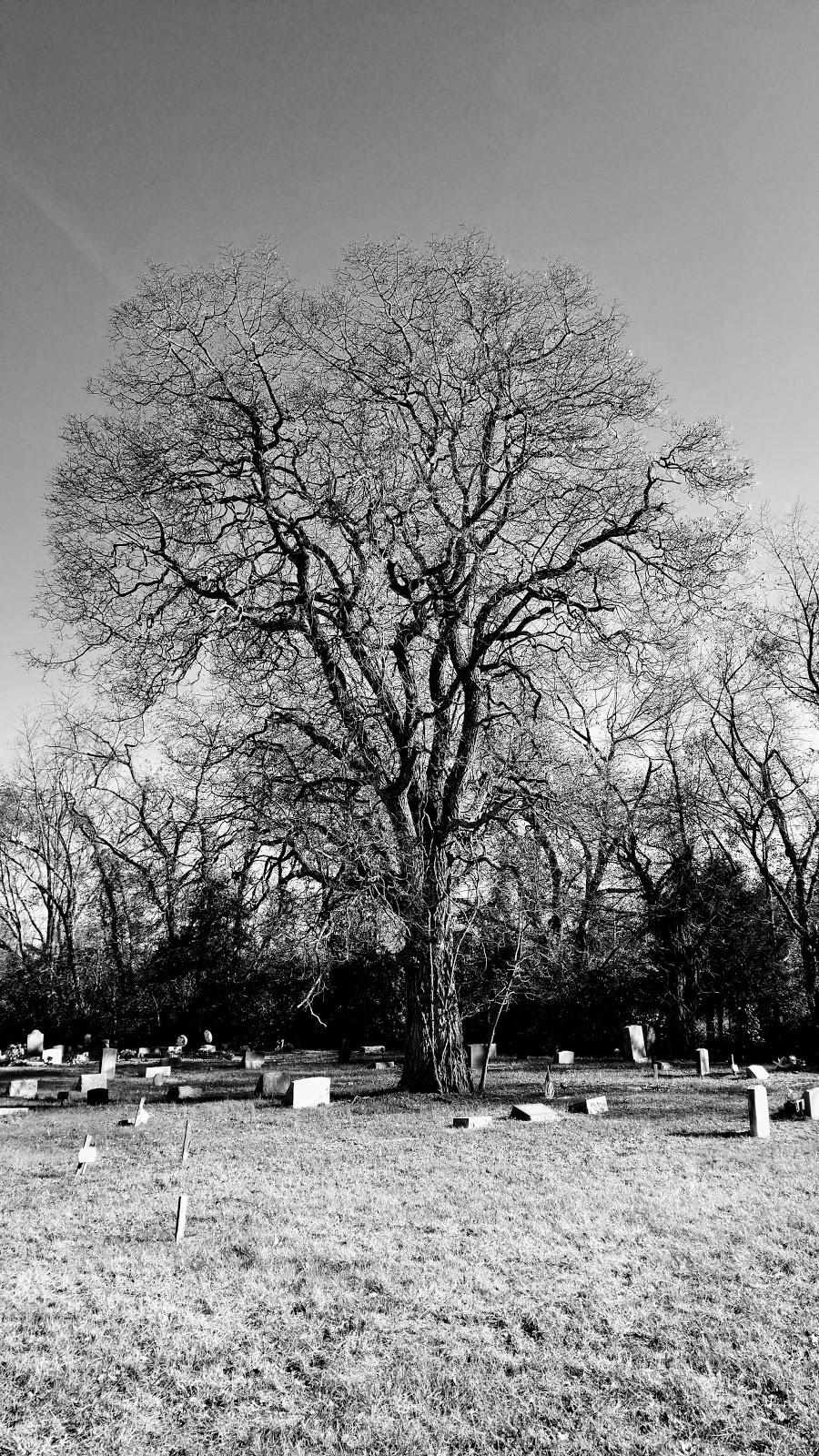 Land of canaan cemetery | 674-524 Fairview Rd, Glassboro, NJ 08028, USA | Phone: (856) 881-0090