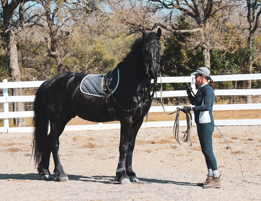 White Fences Equestrian Center | 10908 Jones Rd, Manor, TX 78653 | Phone: (512) 865-8281