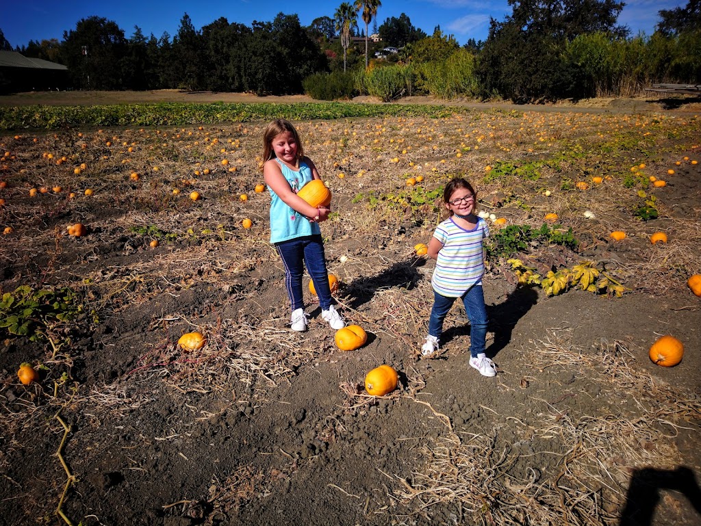 Mangini Fruit Stand | 2498 Pleasant Hill Rd, Pleasant Hill, CA 94523 | Phone: (925) 934-7262