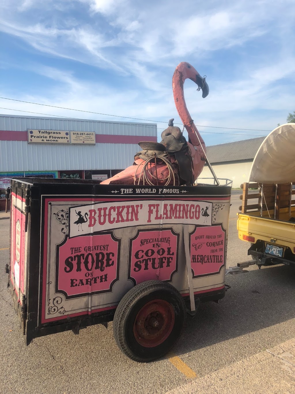 The Buckin Flamingo | 134 E Main St #4205, Pawhuska, OK 74056 | Phone: (918) 604-5090