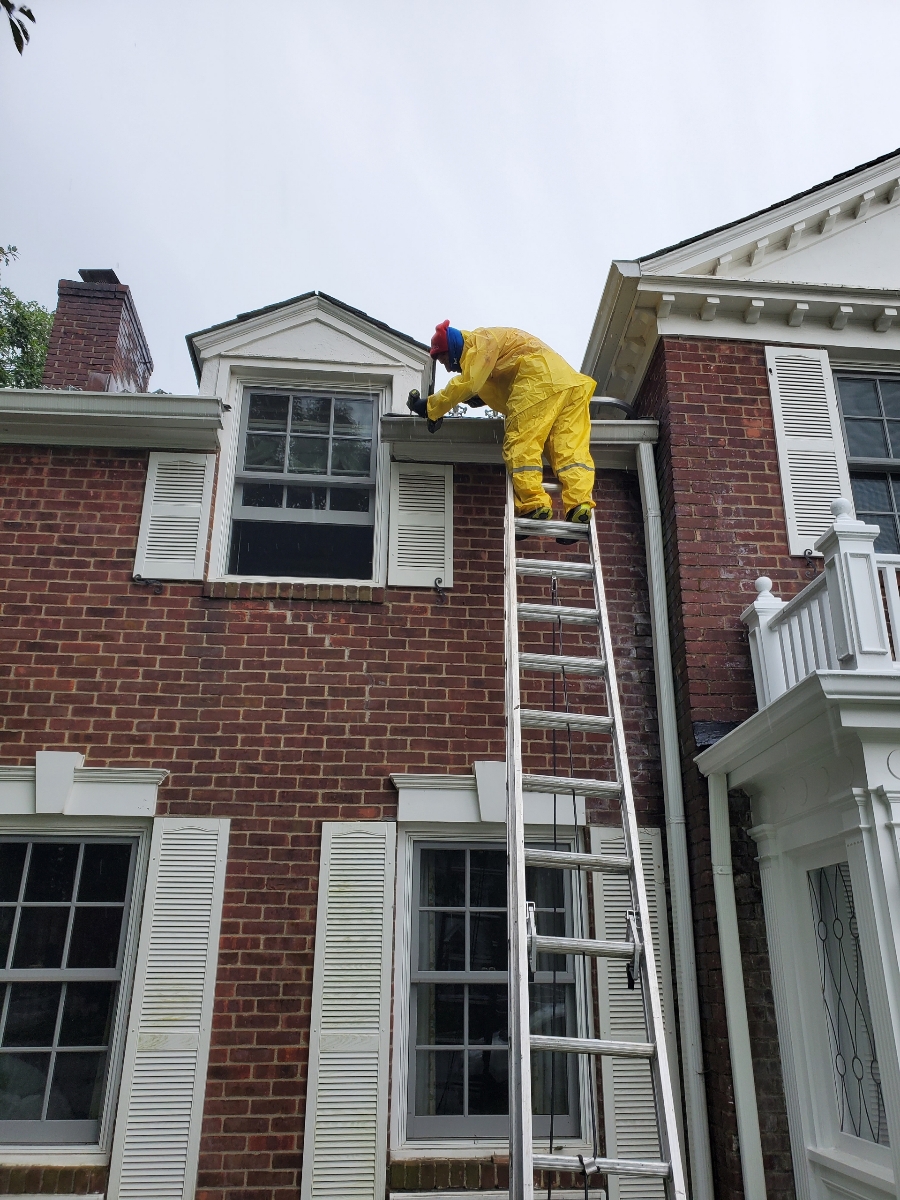 Roof Leak Enders: Roofing & Siding | 205 Elm Pl, Mineola, NY 11501, USA | Phone: (516) 620-4575