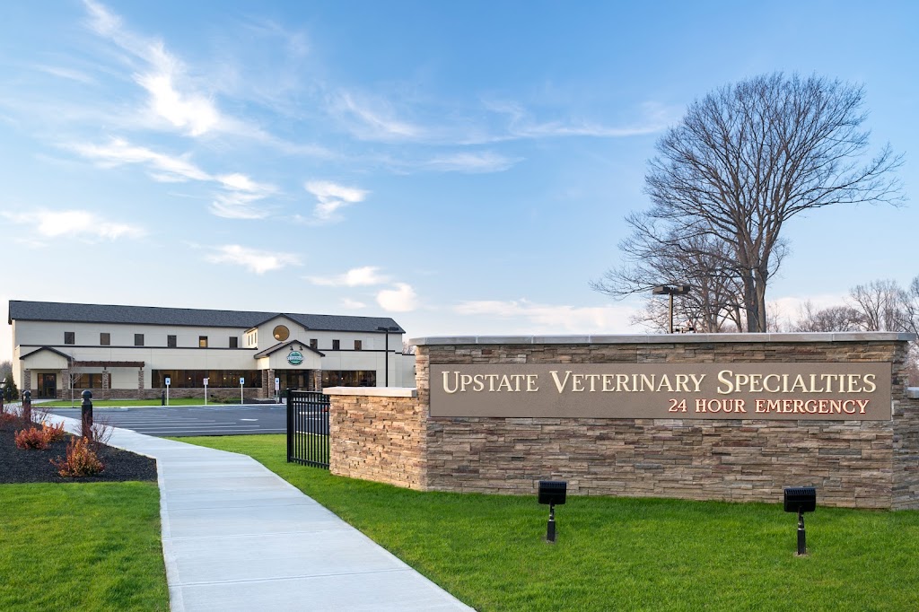 Upstate Veterinary Specialties | 152 Sparrowbush Rd, Latham, NY 12110, USA | Phone: (518) 783-3198