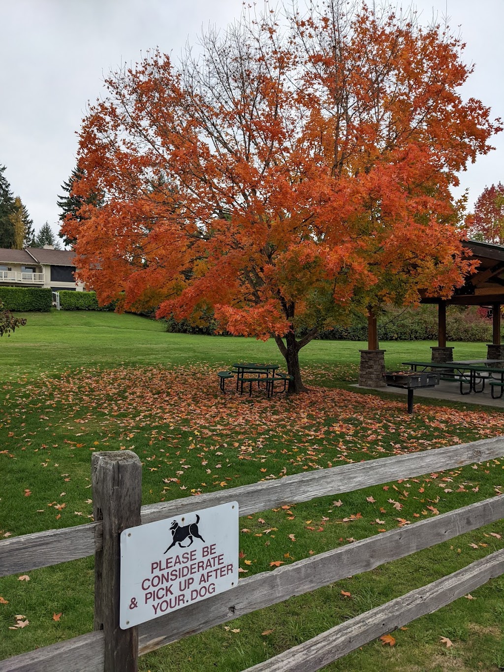 Tam oShanter Community Park and Tennis Courts | 178th Pl NE and, 179th Ave NE, Bellevue, WA 98008, USA | Phone: (425) 746-3855
