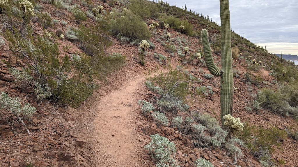 Yavapai Point Trailhead | 45602 Cottonwood Ln, Yarnell, AZ 85362, USA | Phone: (928) 501-1710