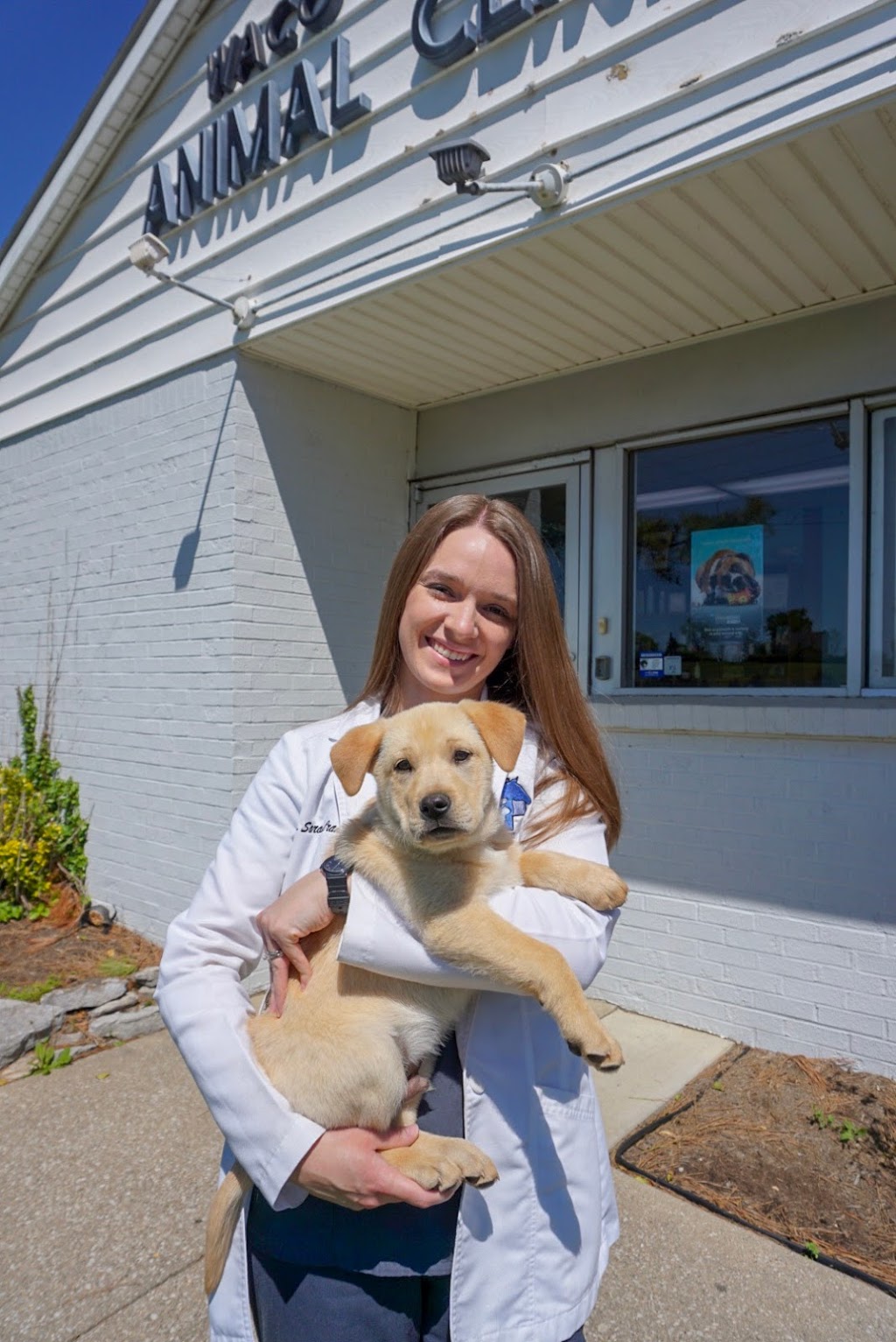 Waco Animal Hospital | 191 Waco Loop Rd, Waco, KY 40385, USA | Phone: (859) 369-5678