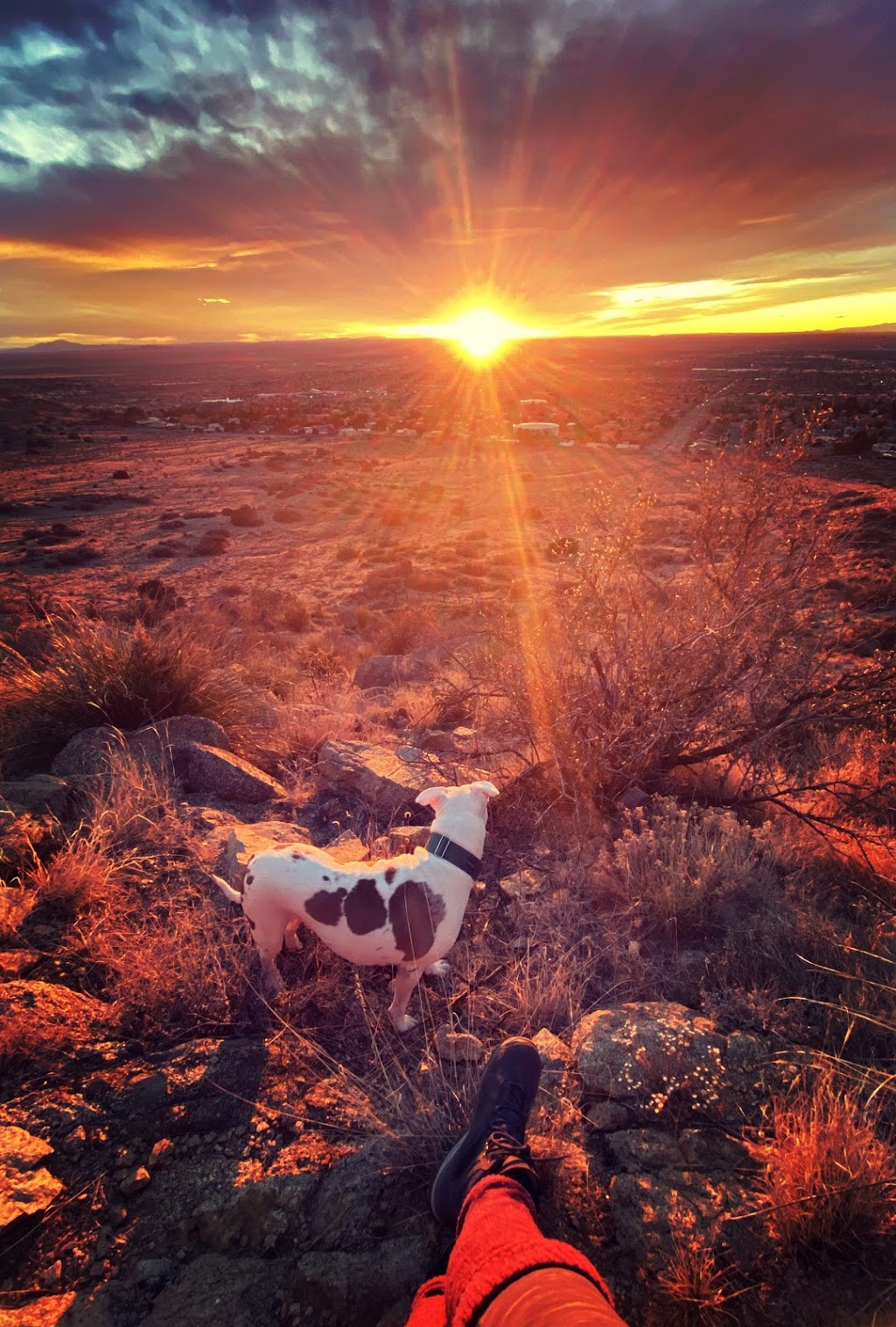 Manzano Open Space | Pedregosa, Albuquerque, NM 87123, USA | Phone: (505) 452-5200