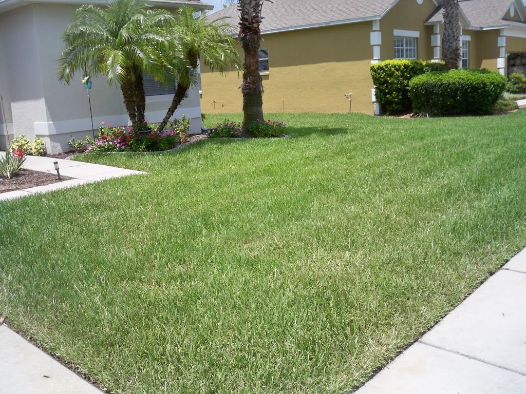 Green Land Lawn Pest Control | 1543 African Violet Ct, Trinity, FL 34655, USA | Phone: (727) 376-2325