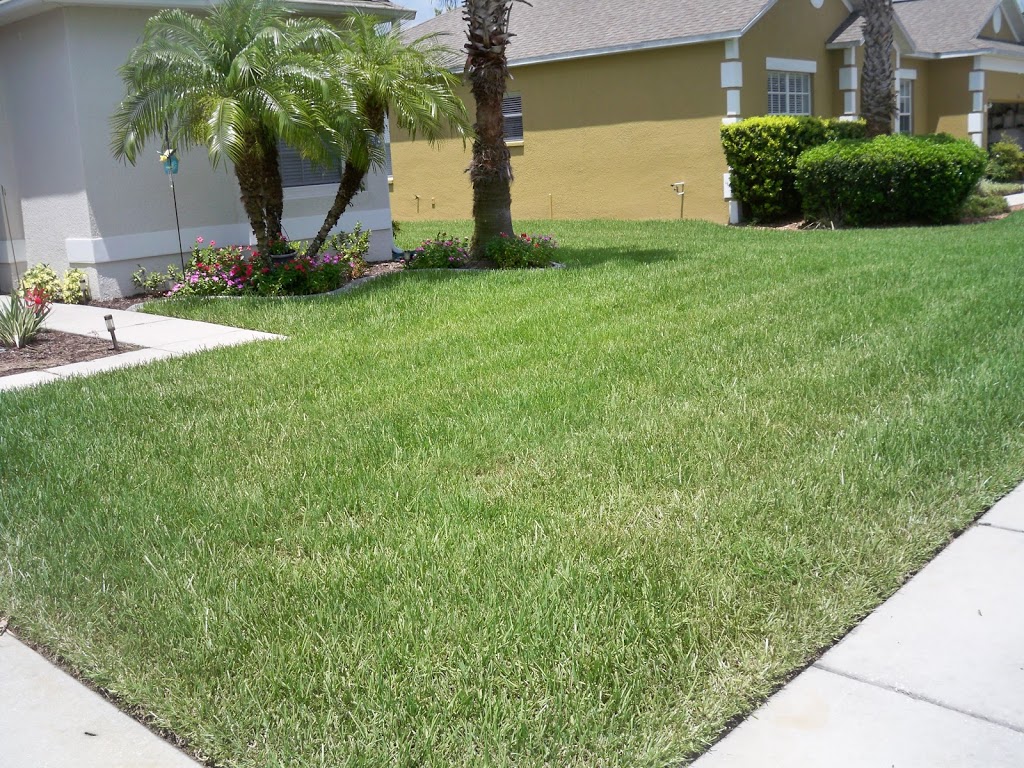 Green Land Lawn Pest Control | 1543 African Violet Ct, Trinity, FL 34655 | Phone: (727) 376-2325