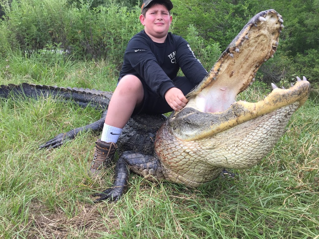 ALLIGATOR HUNTING IN FLORIDA | Fish Branch Rd, Zolfo Springs, FL 33890, USA | Phone: (863) 417-9930