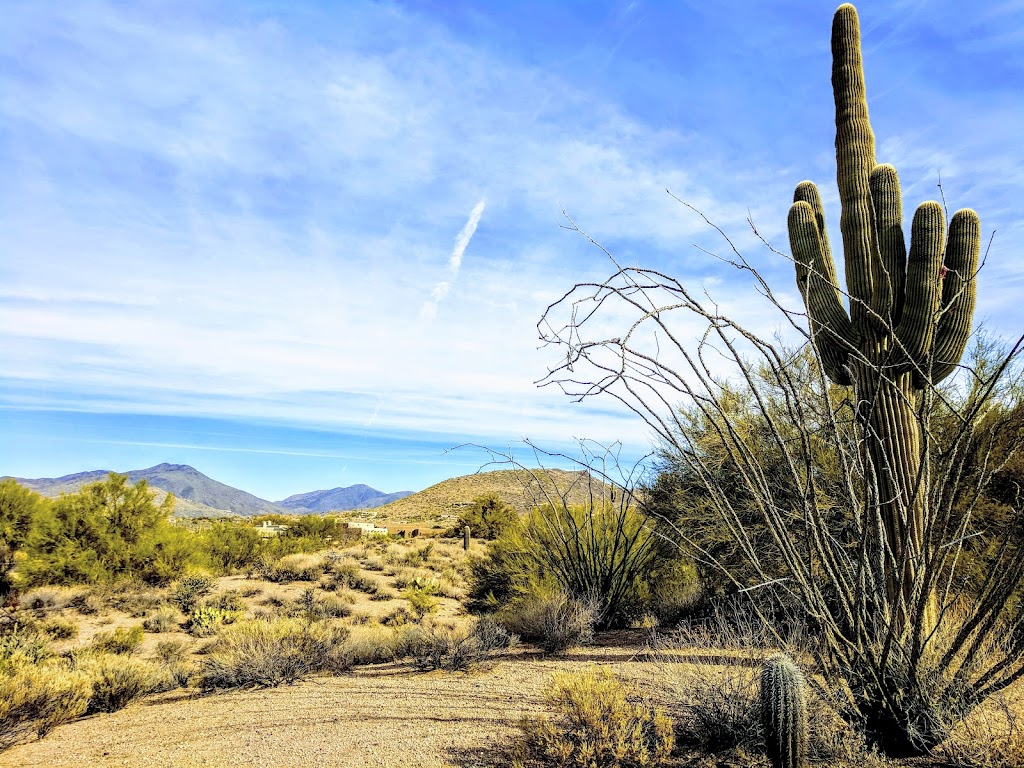 Russ Lyon Sothebys International Realty | 37700 N Desert Mountain Pkwy, Scottsdale, AZ 85262, USA | Phone: (480) 488-2998