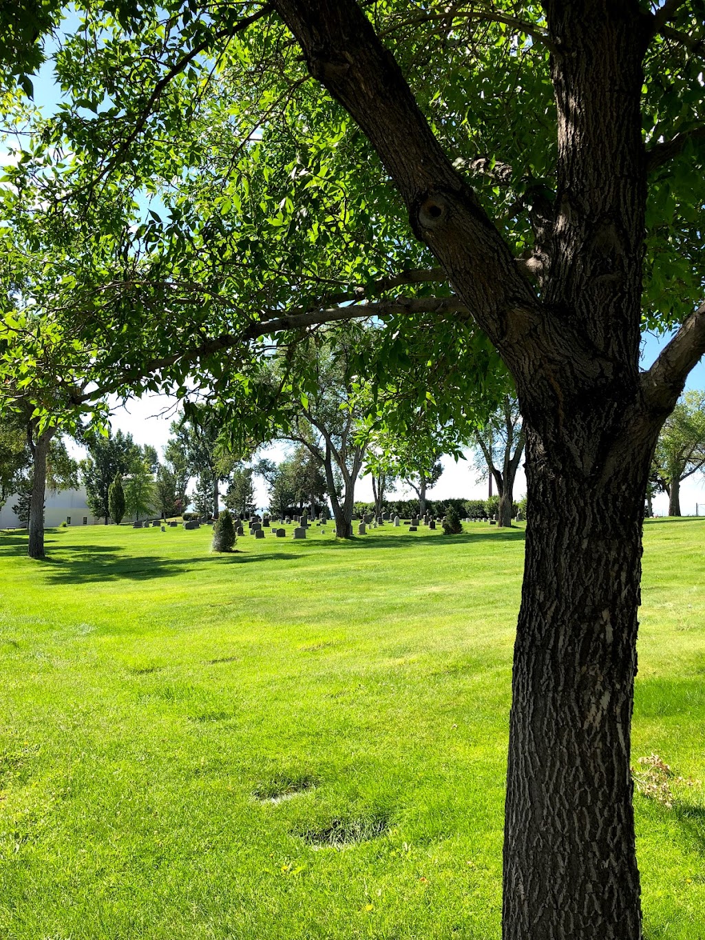 Our Mother of Sorrows Catholic Cemetery | 2700 N Virginia St, Reno, NV 89507, USA | Phone: (775) 323-0133