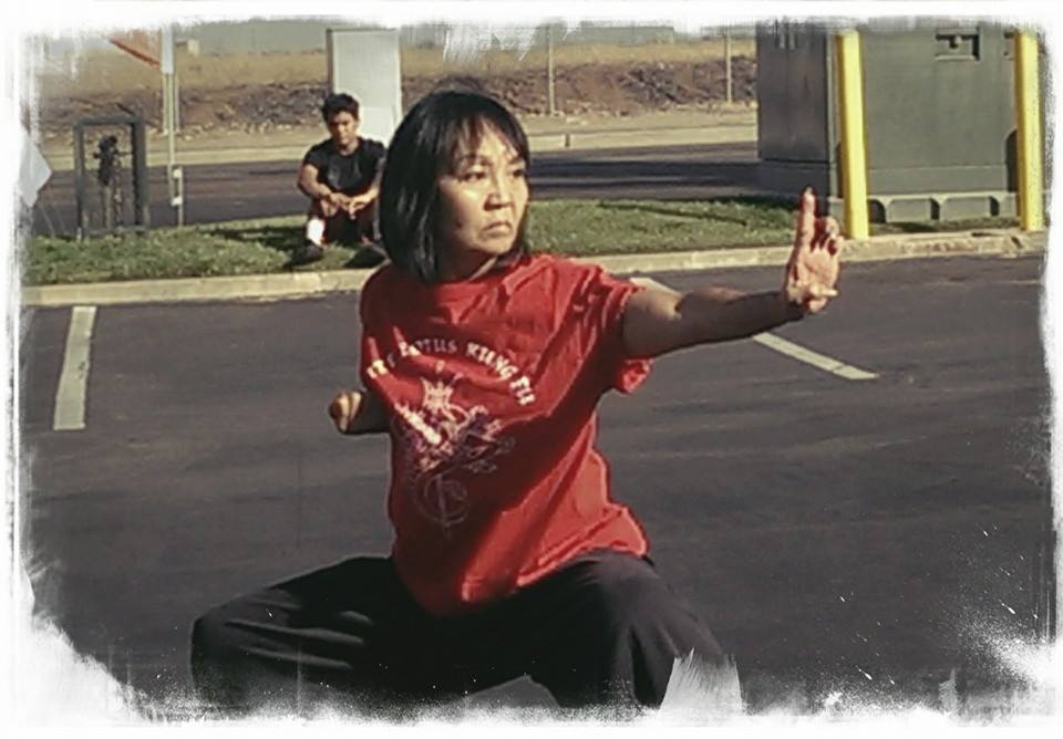 White Lotus Kung Fu Studio | 16657 Arminta St, Van Nuys, CA 91406, USA | Phone: (818) 390-0826