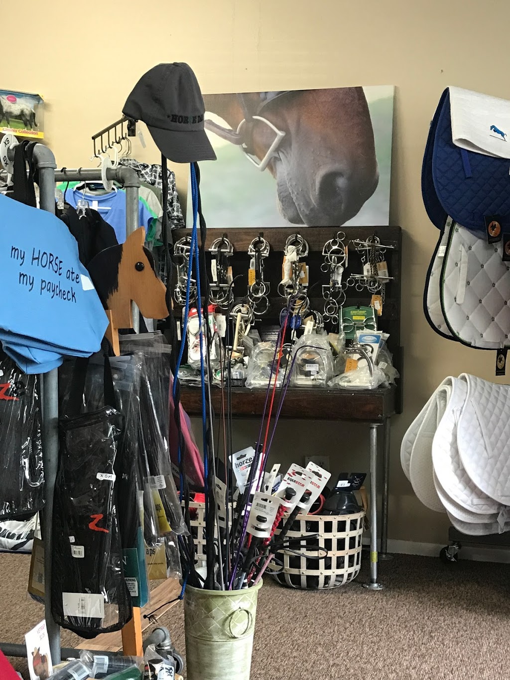 Oak Hollow Saddlery & Gifts | 7752 66th St N, Pinellas Park, FL 33781, USA | Phone: (727) 201-8331