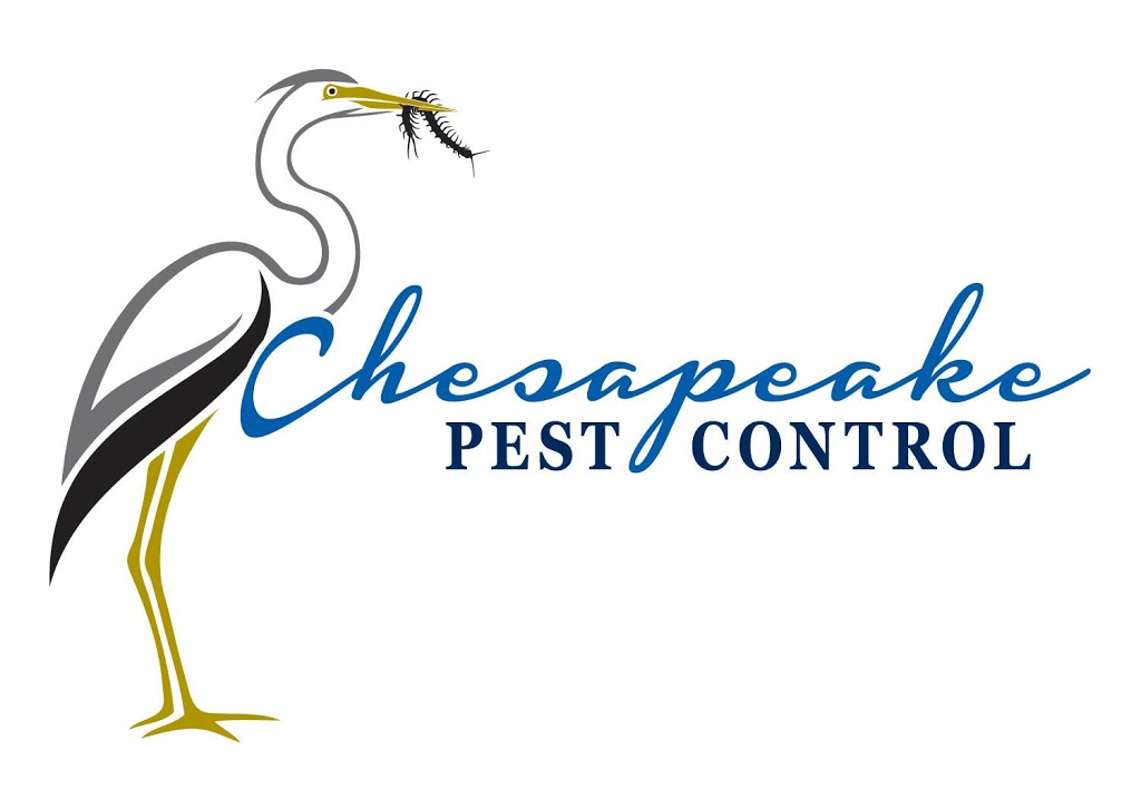 Chesapeake Pest Control | 119 Tilden Ave, Chesapeake, VA 23322, USA | Phone: (757) 317-1212