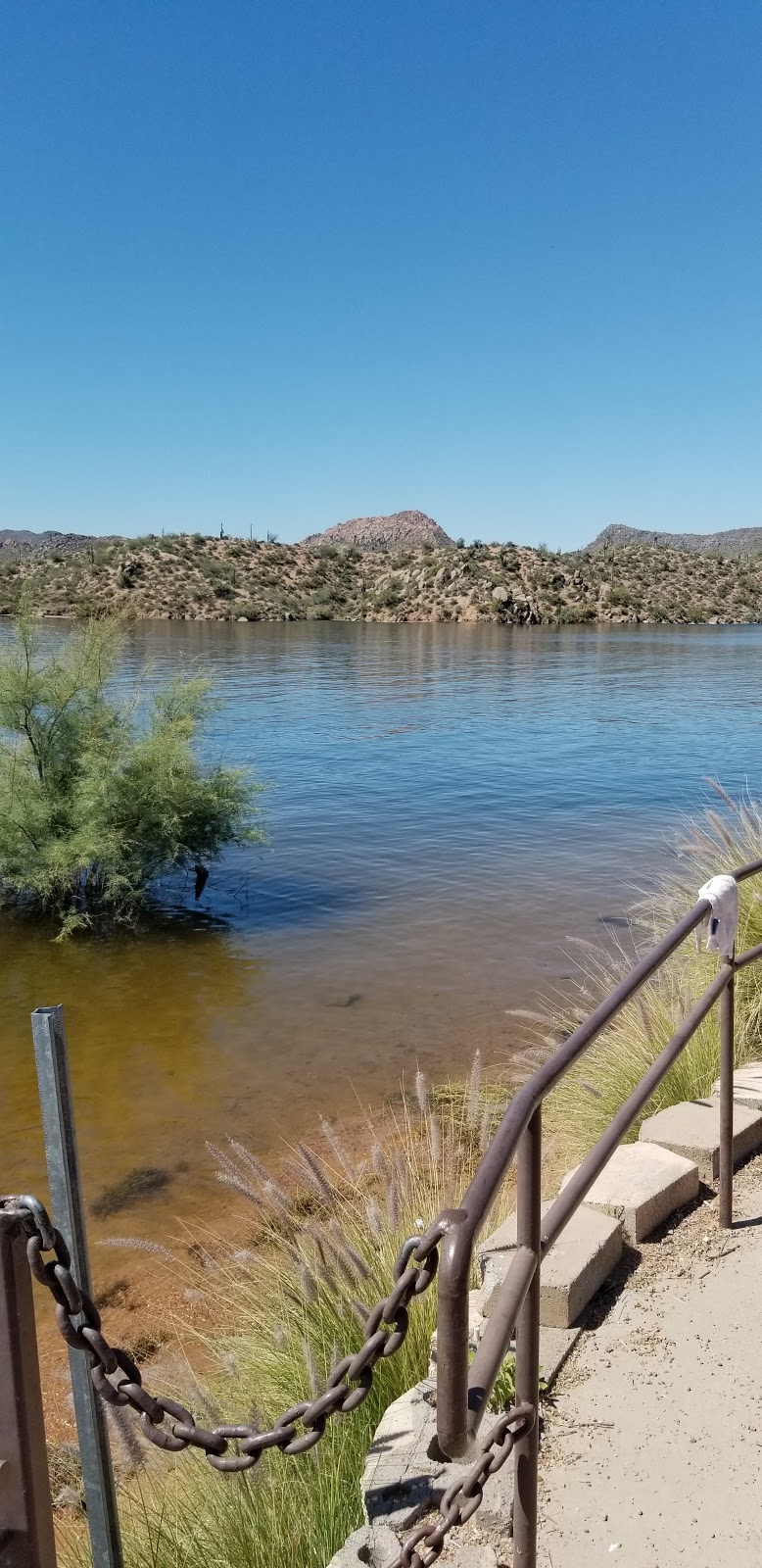 Bartlett Lake Marina | 20808 E Bartlett Dam Rd, Rio Verde, AZ 85263, USA | Phone: (480) 221-0503