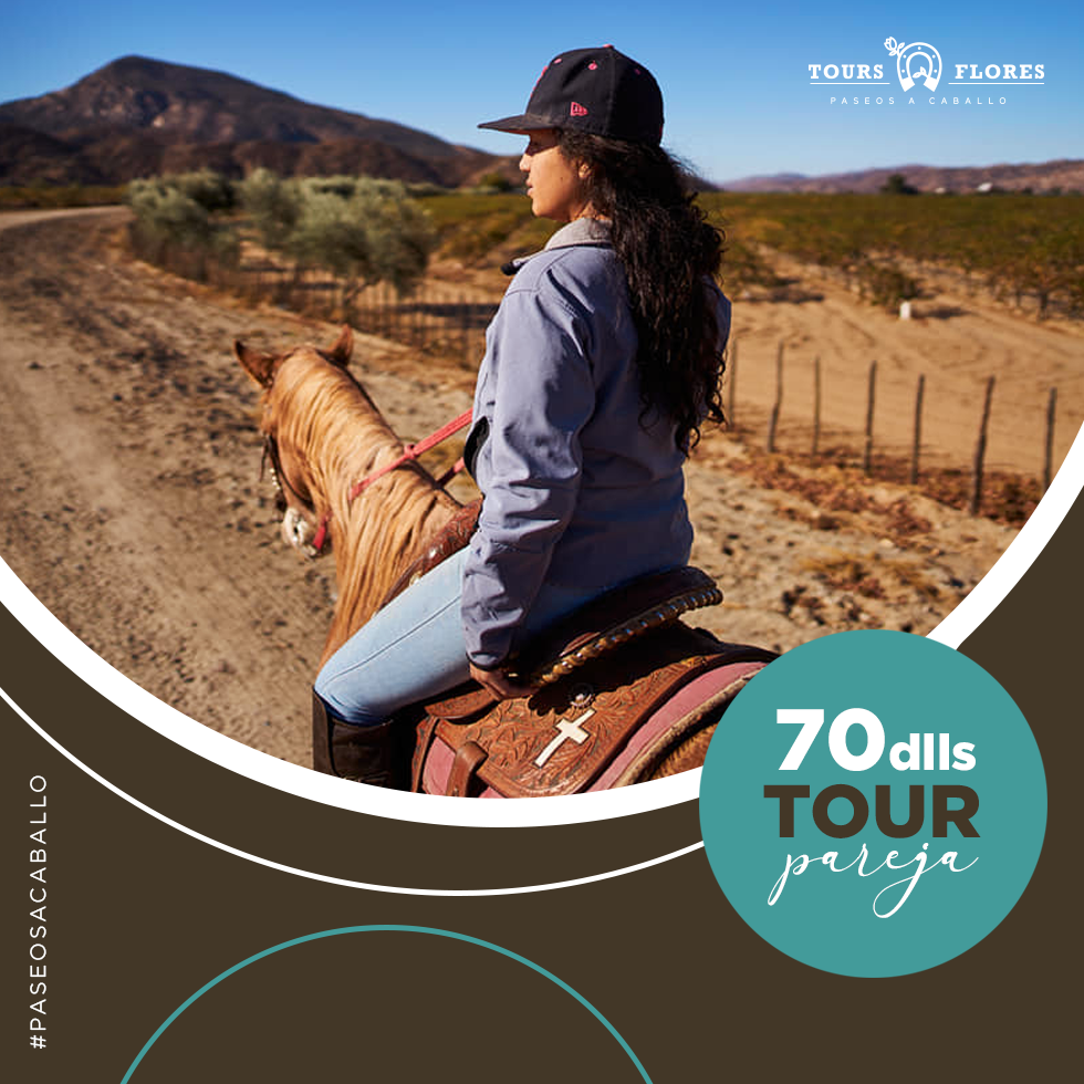 Tours Flores Horseback Riding | Native American Reservation San Antonio Necua, Ensenada 22760, 22756 B.C., Mexico | Phone: 646 109 7349