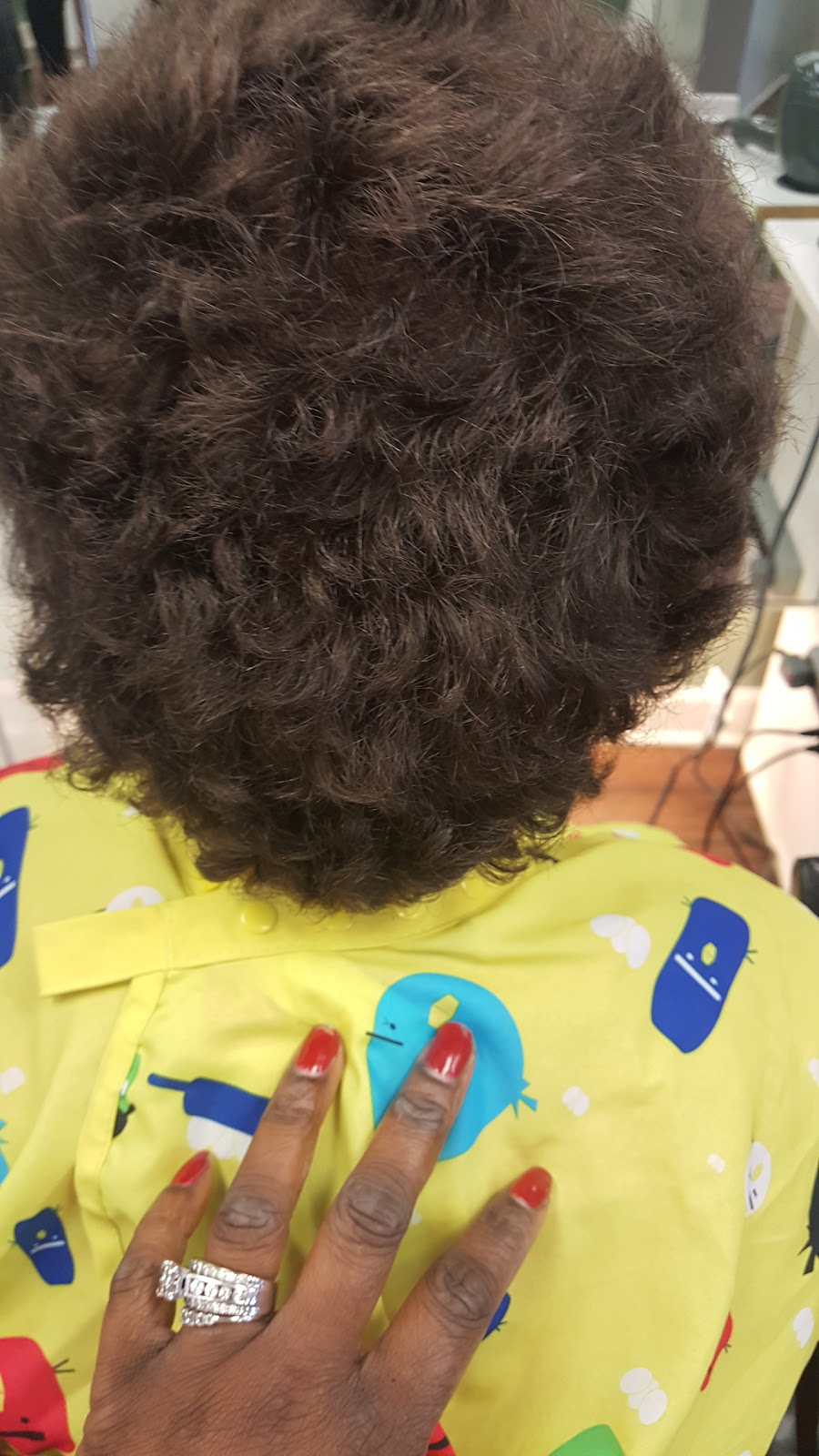 Park Salon | 3240 Brookdale Dr N, Brooklyn Park, MN 55443, USA | Phone: (763) 205-3233