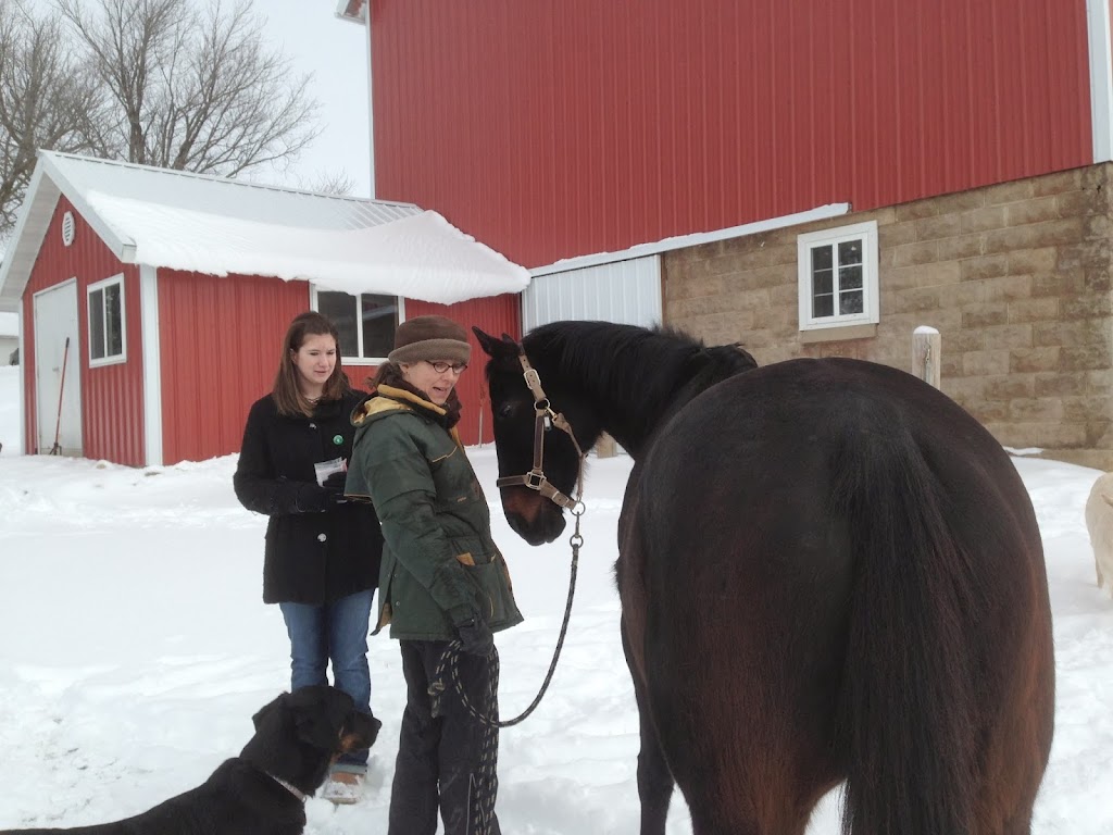 Erikas Equine Center | 3292 430th St, Nerstrand, MN 55053, USA | Phone: (612) 345-2077