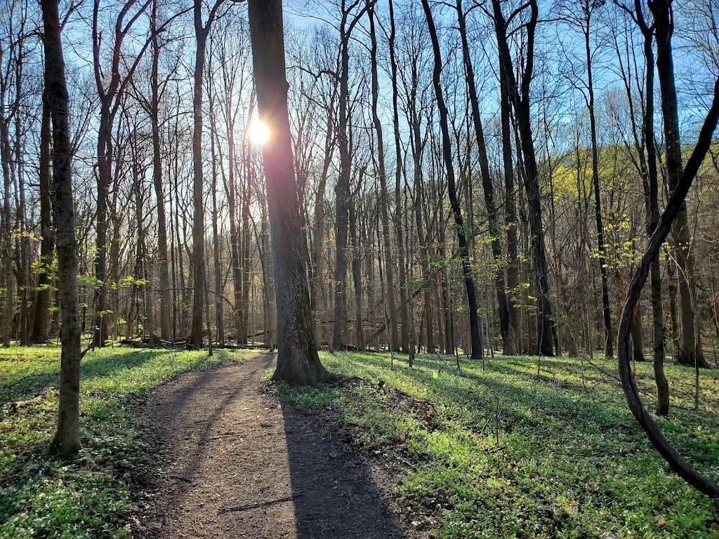 Radnor Lake State Park | 1160 Otter Creek Rd, Nashville, TN 37220, USA | Phone: (888) 867-2757