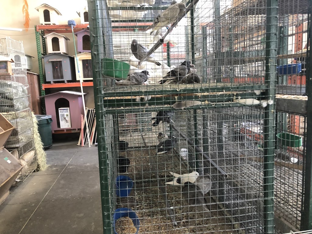 Johns Feed 2 | 2048 E Florence Ave, Los Angeles, CA 90001, USA | Phone: (323) 585-6890