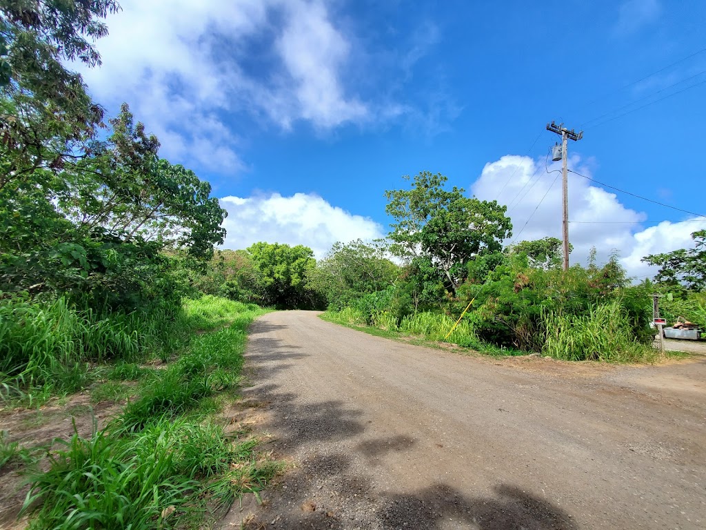 Lāʻie Falls Trail | 55-261 Poohaili St, Laie, HI 96762, USA | Phone: (808) 293-9201