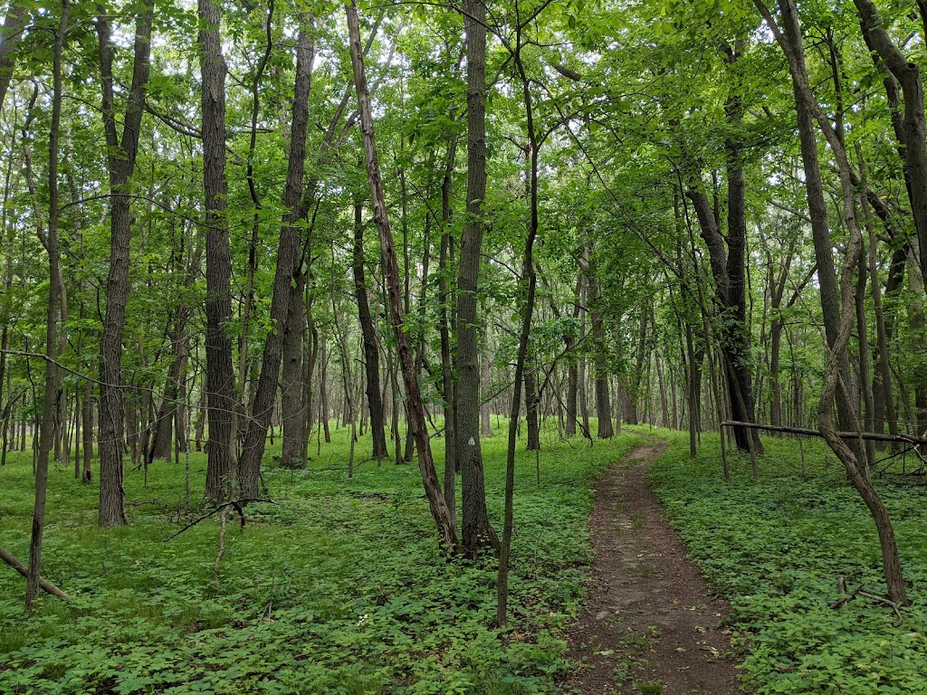 Sharon Hills Preserve | Sharon Hollow Rd, Manchester, MI 48158, USA | Phone: (734) 302-5263