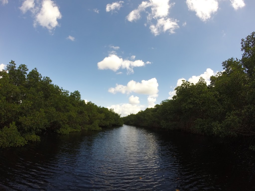 Cockroach Bay Preserve State Park | end of Cockroach Bay Road, Ruskin, FL 33570, USA | Phone: (239) 253-0811