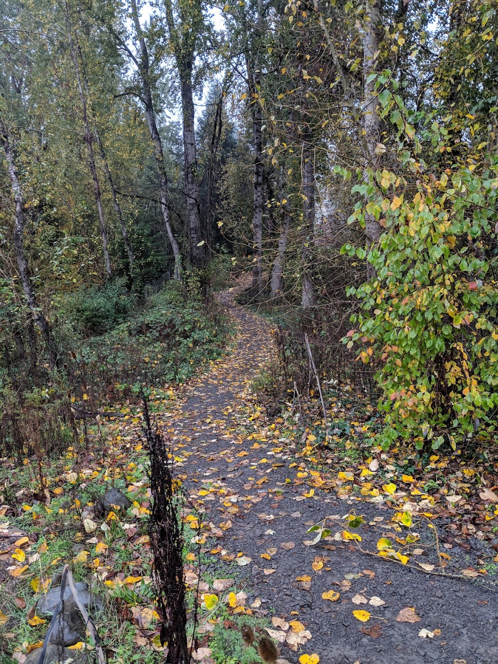 Dharma Rain Zen Center | 8500 NE Siskiyou St, Portland, OR 97220, USA | Phone: (503) 239-4846