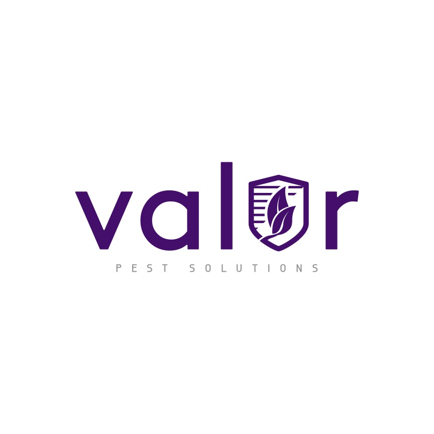 Valor Pest Solutions Maple Grove | 17399 80th Pl N, Maple Grove, MN 55311, USA | Phone: (763) 777-7010