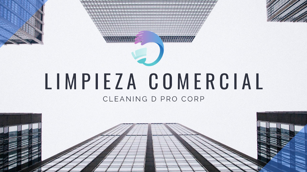 Cleaning D Pro Corp | 11005 SW 156th Terrace, Miami, FL 33157, USA | Phone: (786) 859-5973