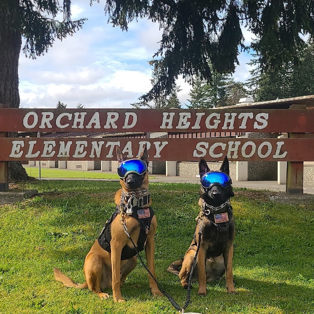 Orchard Heights Elementary | 2288 Fircrest Dr SE, Port Orchard, WA 98366, USA | Phone: (360) 443-3530