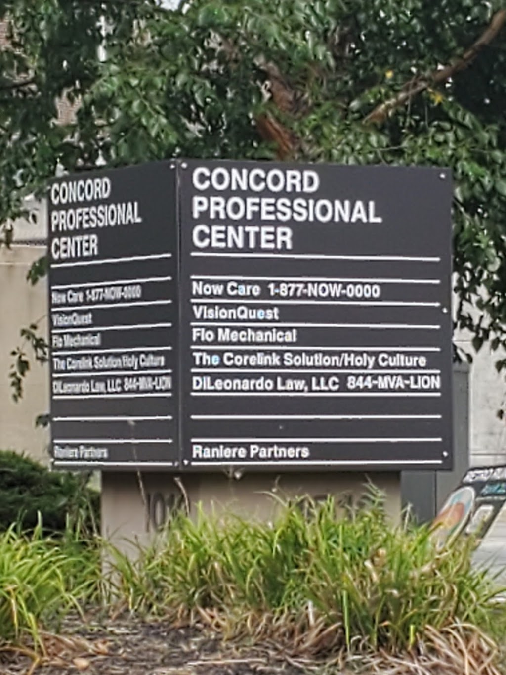 DiLeonardo Law | 59 Spruce Dr, Medford, NJ 08055, USA | Phone: (609) 900-3377