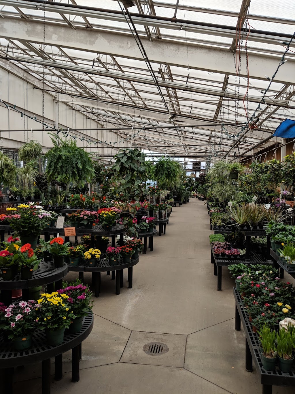 Gales Garden Center Willoughby Hills | 2730 Som Center Rd, Willoughby Hills, OH 44094, USA | Phone: (440) 944-6066