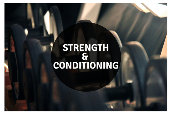 Sharkk Fitness | 5255 Xenon St, Arvada, CO 80002, USA | Phone: (586) 610-3647