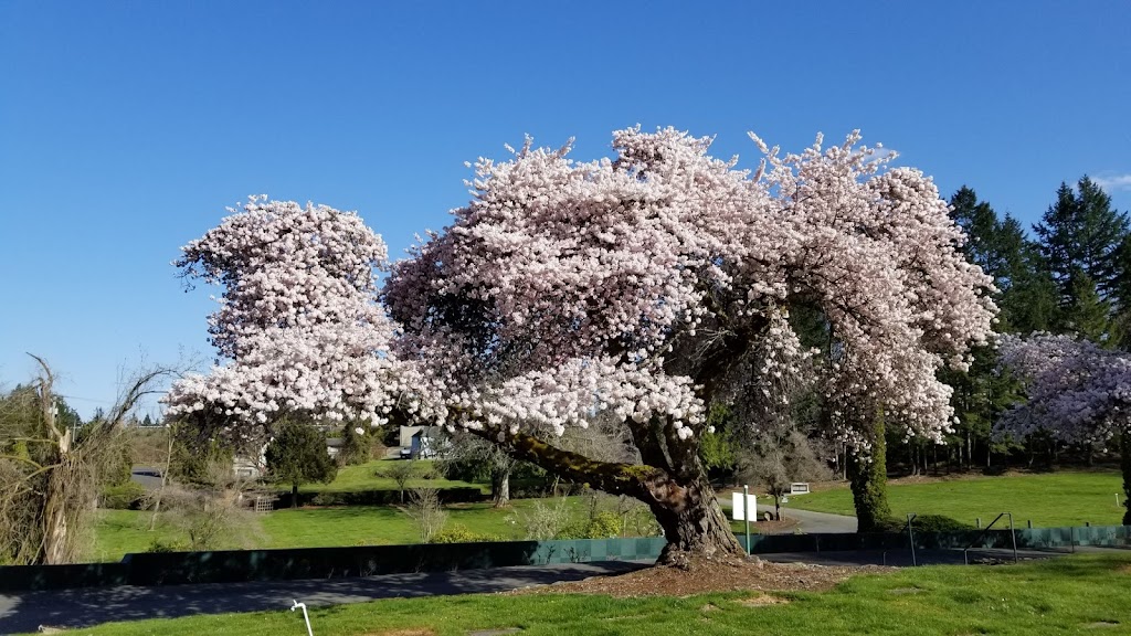 Forest Lawn Cemetery | 5409 Kitsap Way, Bremerton, WA 98312, USA | Phone: (360) 373-3132