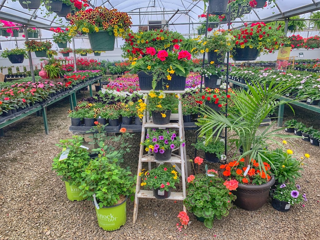 Patchwork Gardens | 2999 U.S. 35 SE, Washington Ct Hs, OH 43160, USA | Phone: (740) 335-0018 Patchwork Gardens | 2999 U.S. 35 SE, Washington Ct Hs, OH 43160, USA | Phone: (740) 335-0018