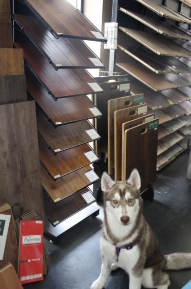 Dallas Carpet Outlet & Fine Floors | 4306 Bryan St, Dallas, TX 75204, USA | Phone: (214) 342-1100