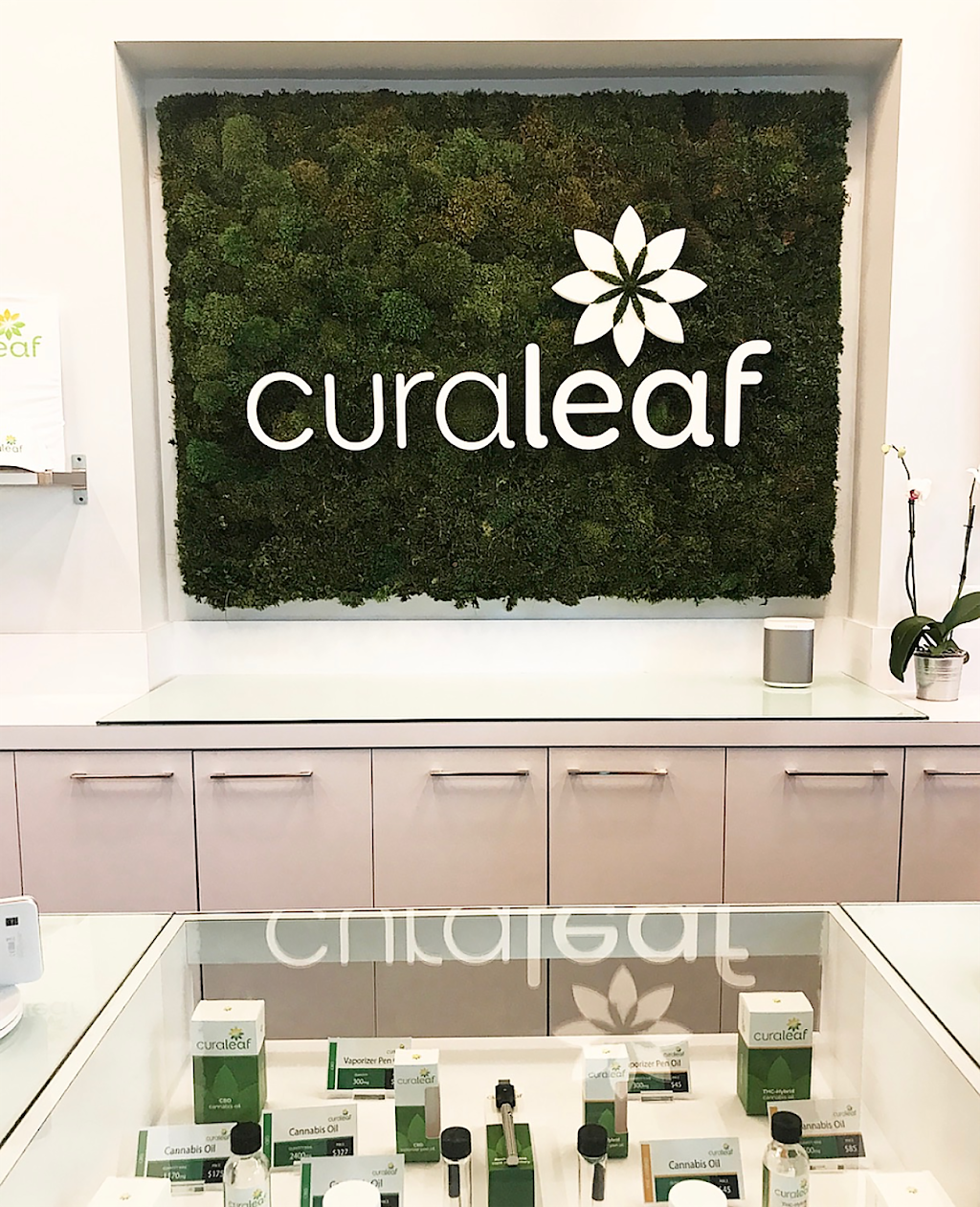 Curaleaf | 19000 SW 192nd St, Miami, FL 33187, USA | Phone: (877) 303-0741