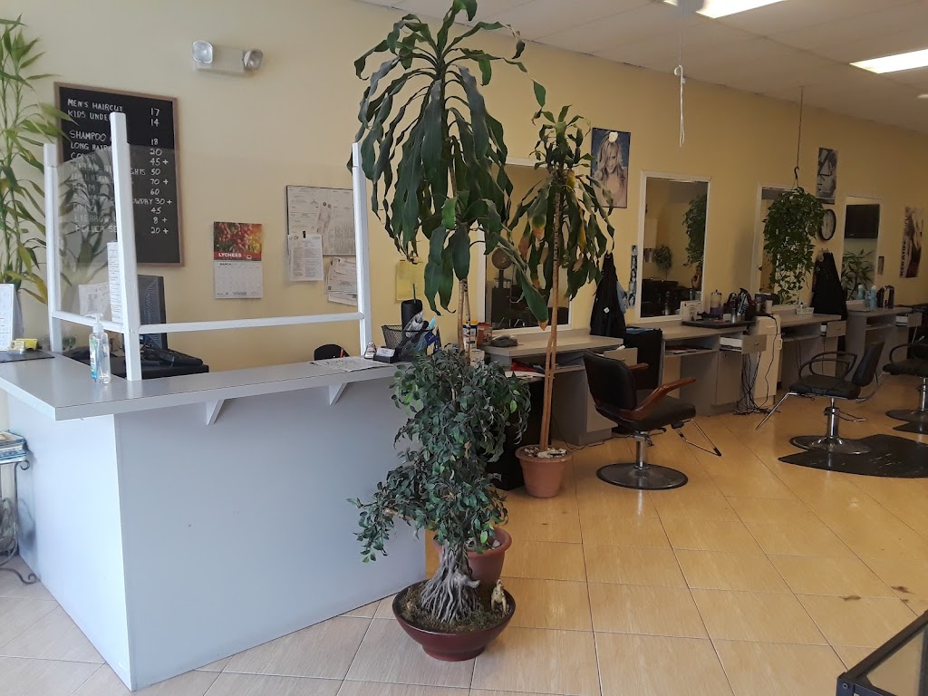 Hair Salon of Clermont | 2760 FL-50, Clermont, FL 34711, USA | Phone: (352) 243-2252