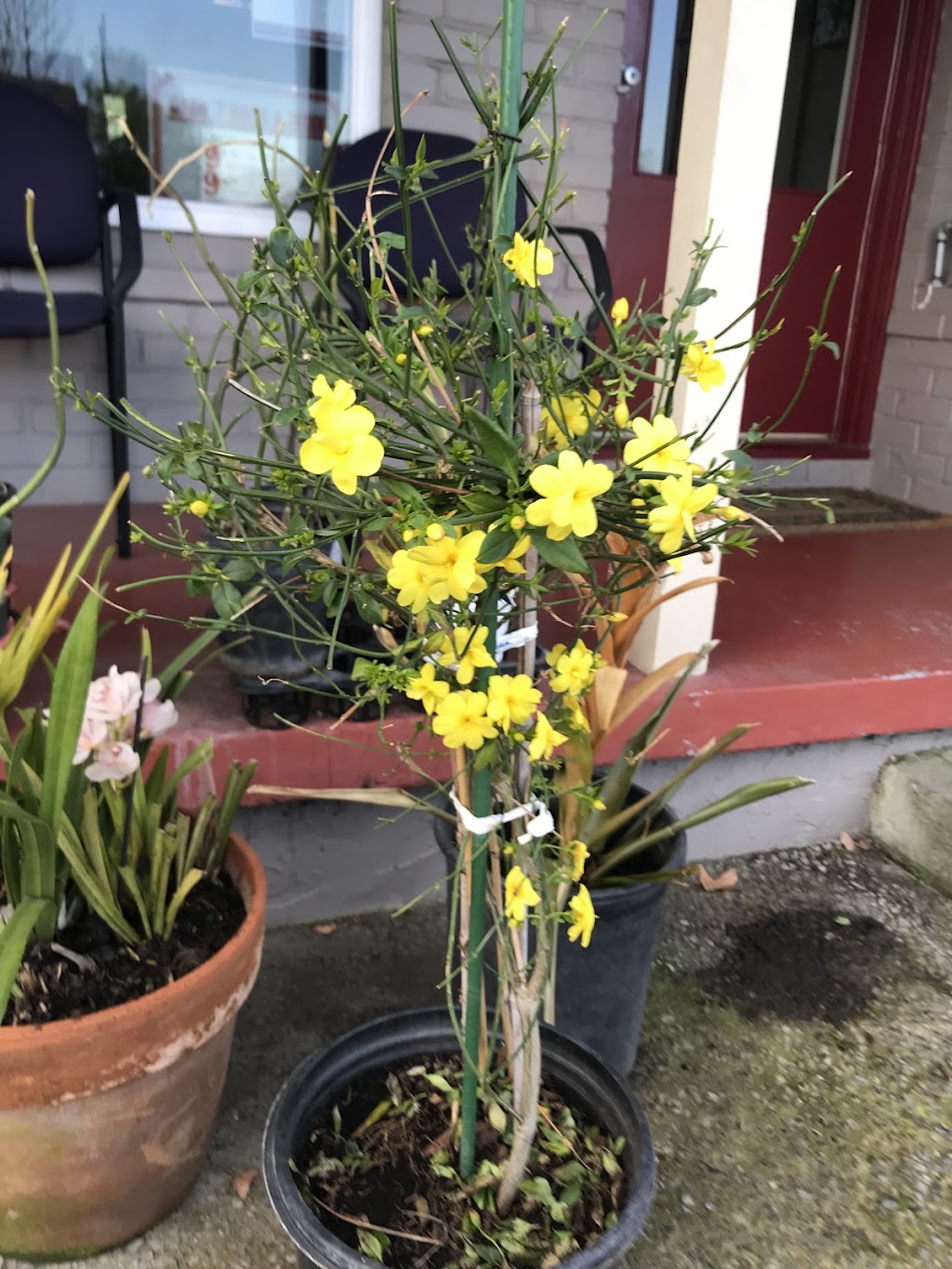 A-Barber | 4276 Williams Rd, San Jose, CA 95129, USA | Phone: (408) 623-6037