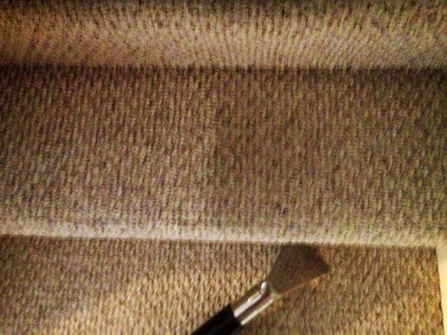 Force Carpet Cleaning & Water Restoration | 4574 Elizabeth Lake Rd, Waterford Twp, MI 48328 | Phone: (248) 892-9799
