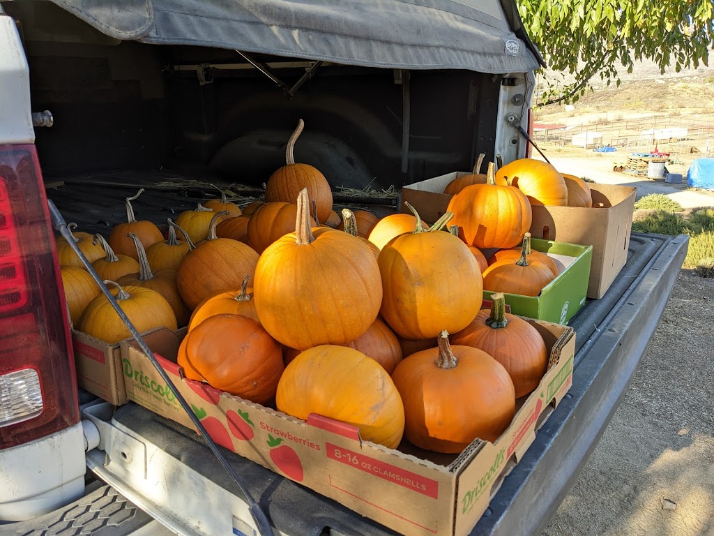 Shady Acres Farm Stand | 32351 Sage Rd, Hemet, CA 92544, USA | Phone: (773) 440-3252