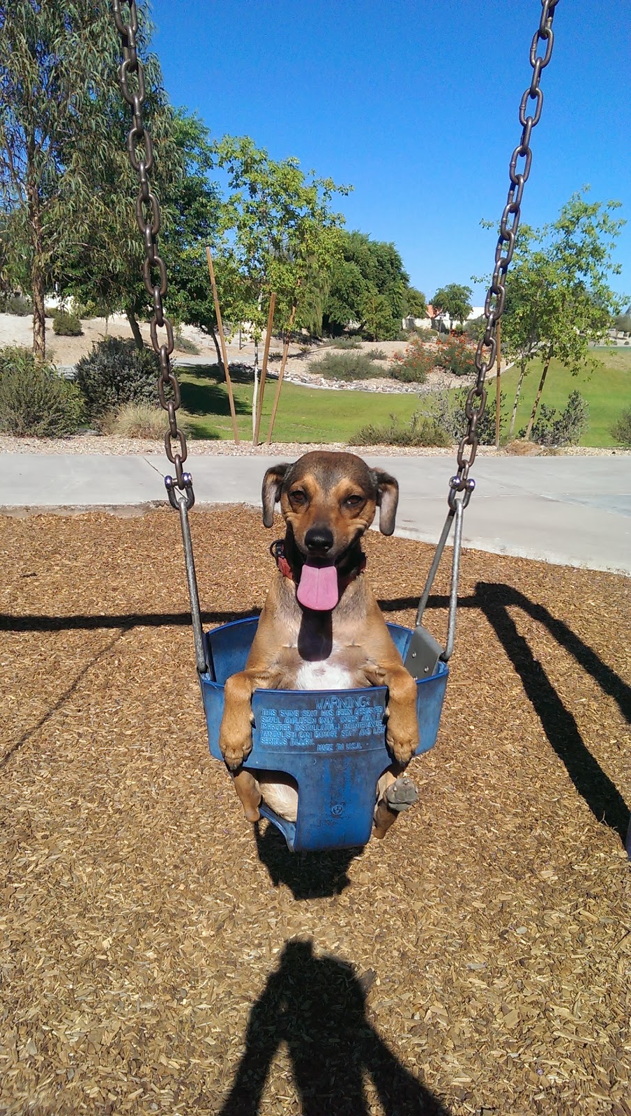 Parkridge Park Dog Park | 9734 W Beardsley Rd, Peoria, AZ 85382, USA | Phone: (623) 773-7137